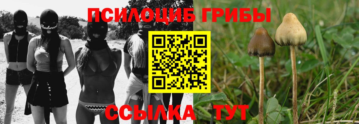 Галлюциногенные грибы Psilocybine cubensis  Вход с VPN  Печора 