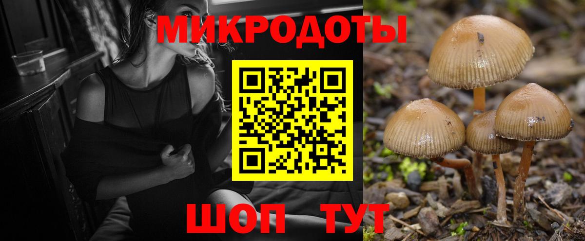 Галлюциногенные грибы мухоморы Печора